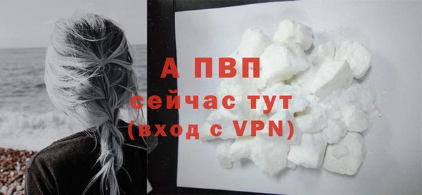 PSILOCYBIN Дмитров