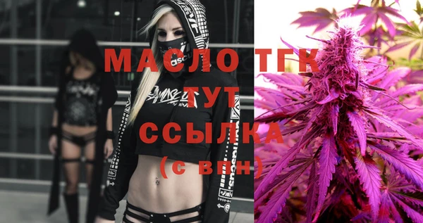 гидропоника Дмитриев