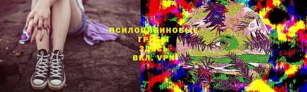 гидропоника Дмитриев