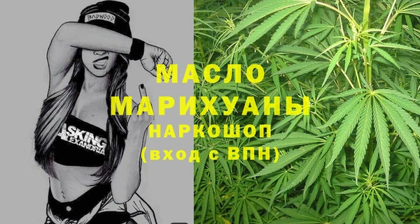 гидропоника Дмитриев