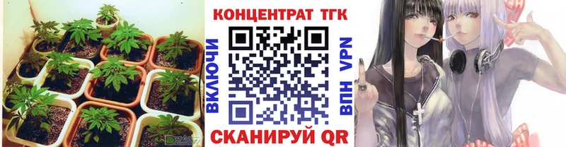 ТГК Wax  blacksprut ссылка  Александровское  где купить наркотик 