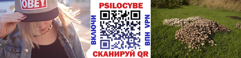 Галлюциногенные грибы GOLDEN TEACHER  Александровское 
